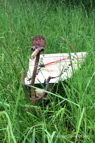 phénix animal fantastique sculpture percussion de plein air en métal et céramique pour animation de jardin pédagogique ludique et thérapeutique